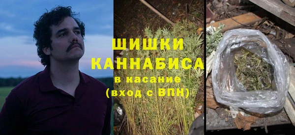 стаф Каменногорск