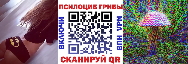 купить   Фролово  Галлюциногенные грибы Cubensis 