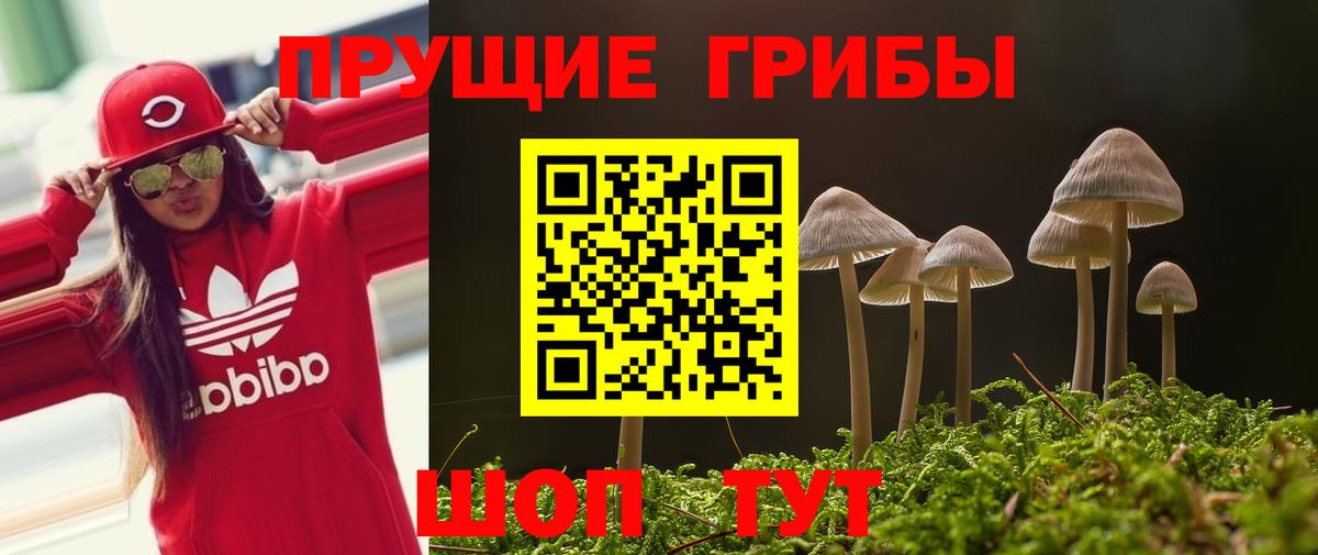 Псилоцибиновые грибы Magic Shrooms Фролово